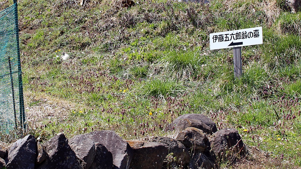 諏訪市豊田有賀の伊藤五六郎の墓の案内板